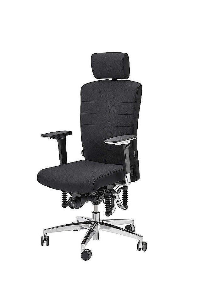 bioswing 560  Bestseller