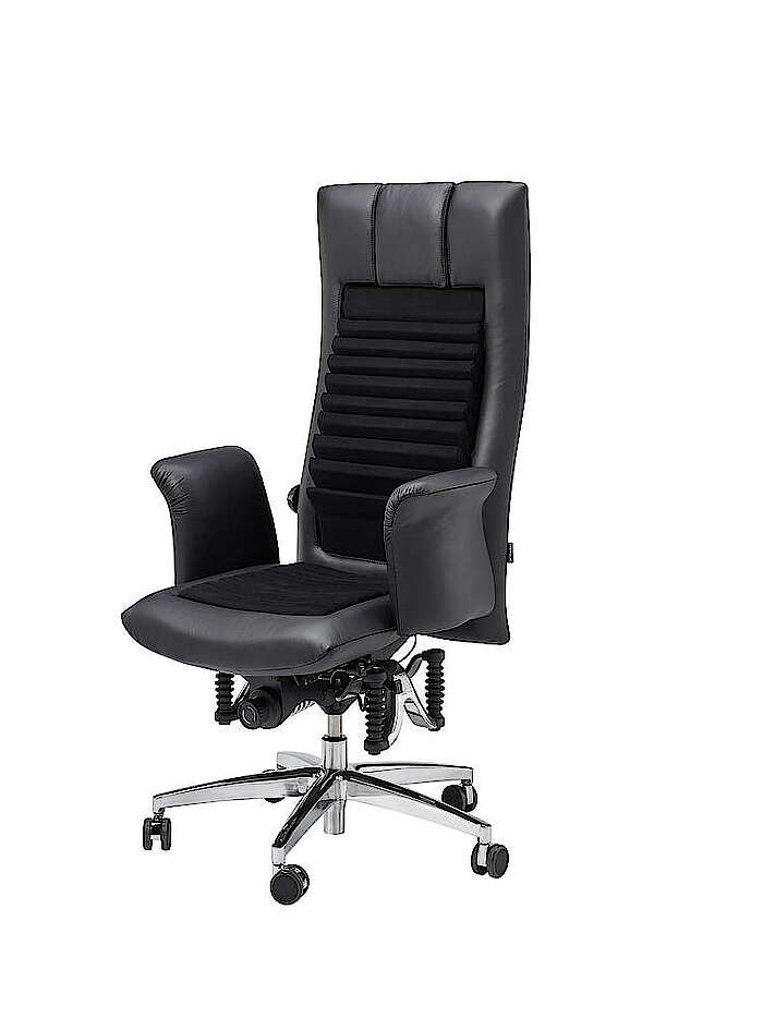 Bioswing 780  Detensor