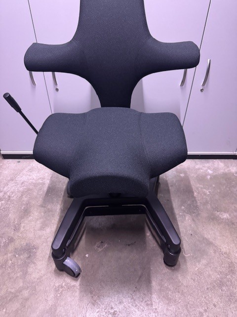 Capisco+Trippelgestell