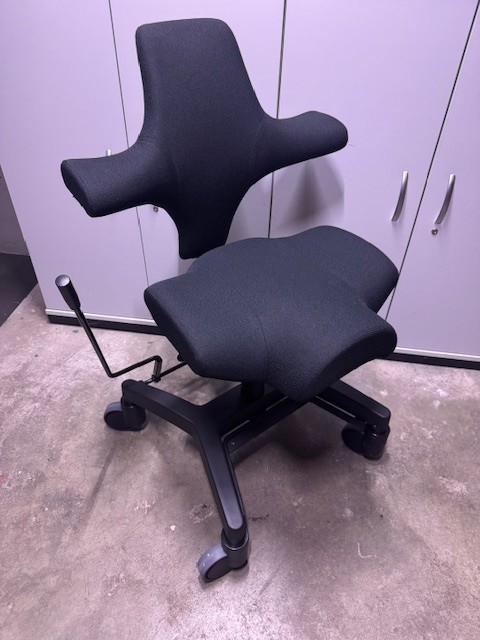 Capisco+Trippelgestell