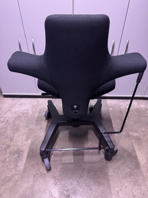 Capisco-Trippelstuhl Rücken.jpg